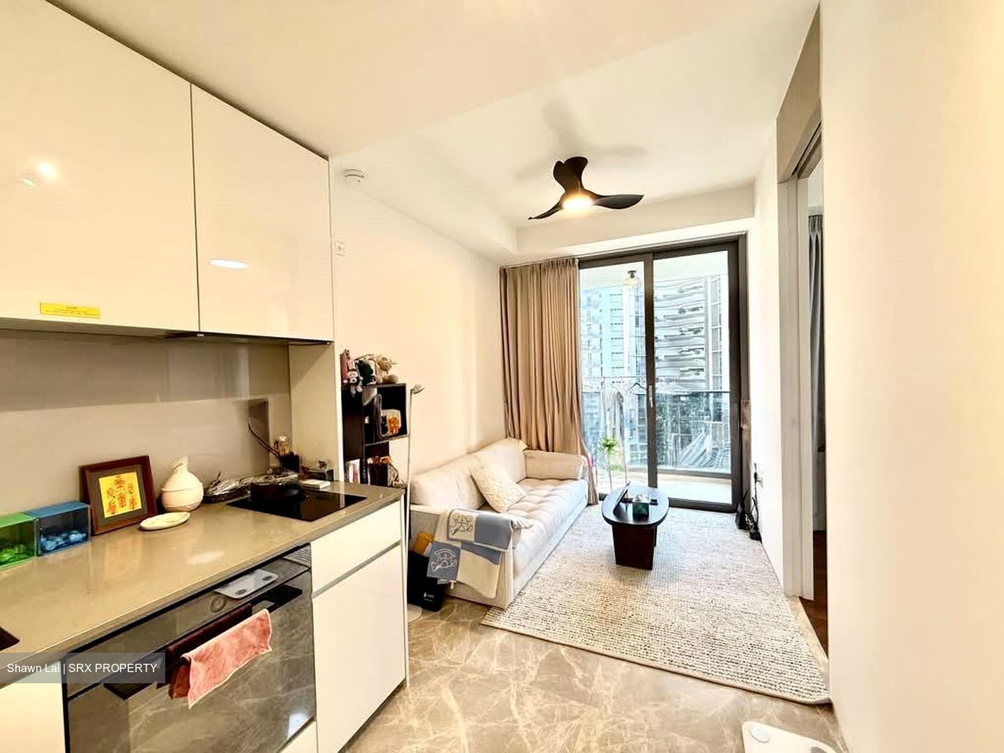 Amber Park (D15), Condominium #566138601